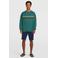 O'Neill sweater groen