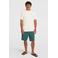 O'Neill O'Riginals regular casual short groen