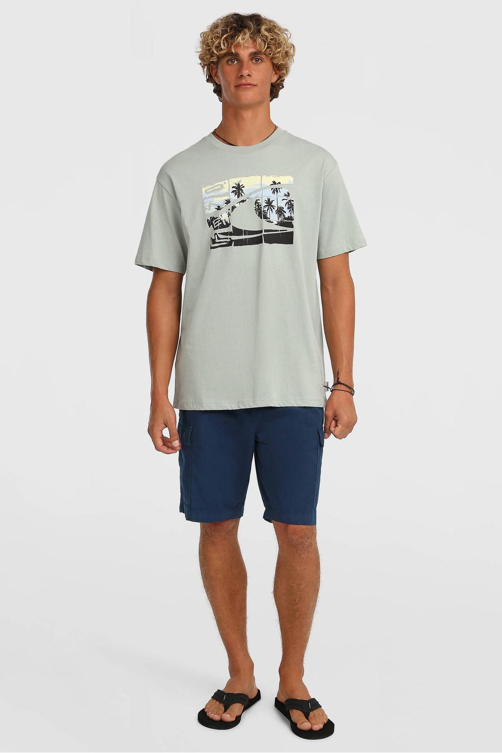 O'Neill T-shirt lichtgrijs