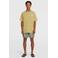 O'Neill t-shirt oker