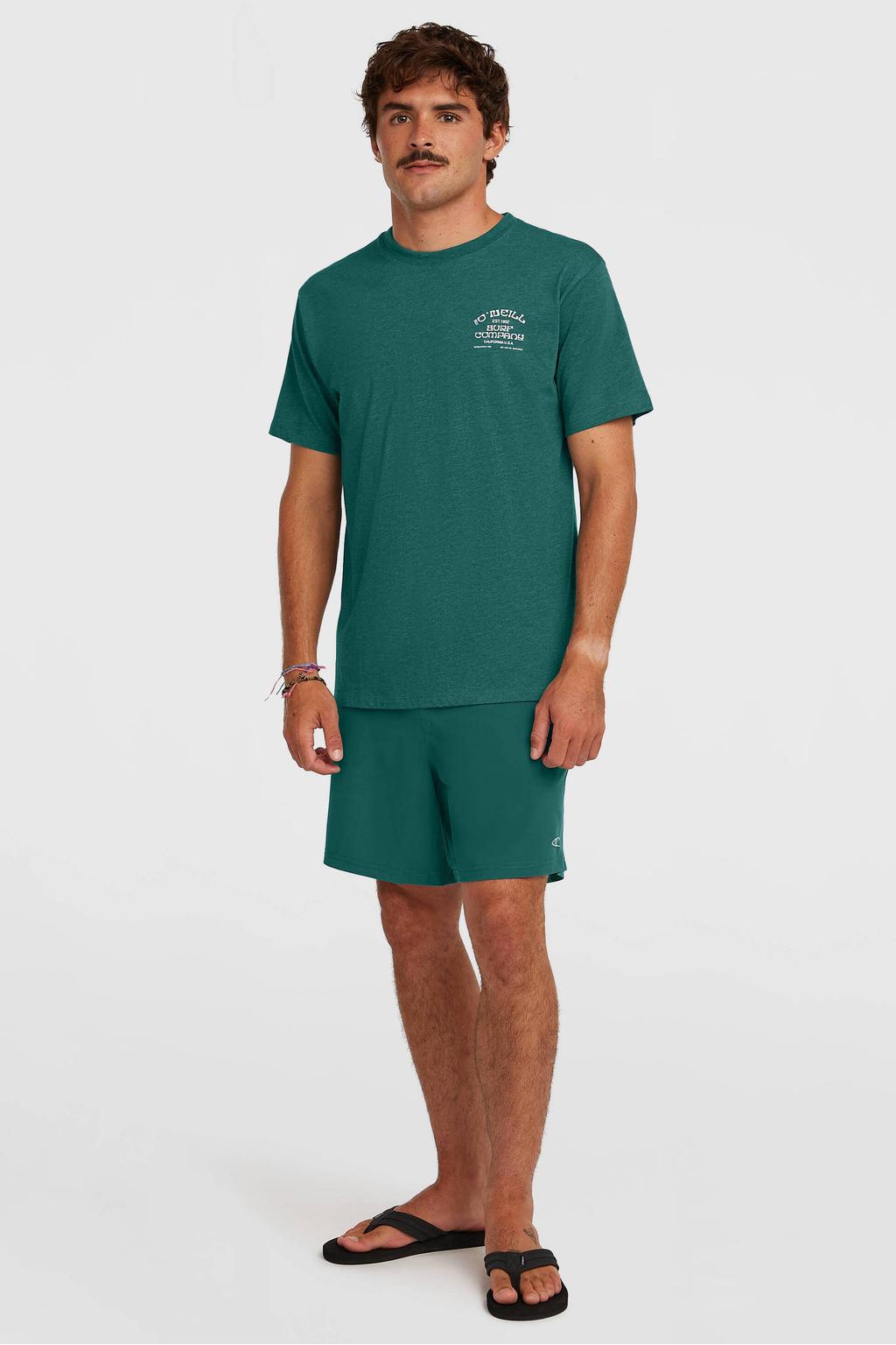Groene heren O'Neill T-shirt van katoen met effen, korte mouwen en ronde hals