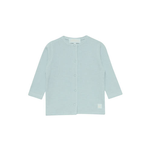 4PRESIDENT Zyon-Light Blue-80 afbeelding