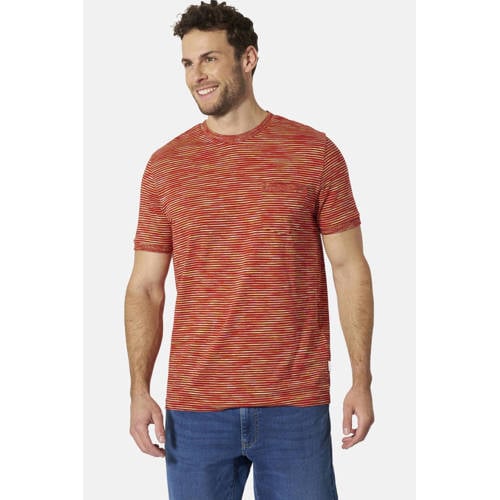 Babista regular gestreepte T-shirt ORIELLO donkerrood afbeelding