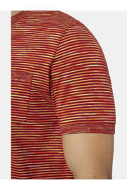 thumbnail: Babista regular fit gestreept T-shirt +FIT Collectie - donkerrood
