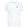 Jordan T-shirt wit