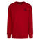 Jordan longsleeve rood