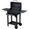 Vaggan  BBQ houtskool