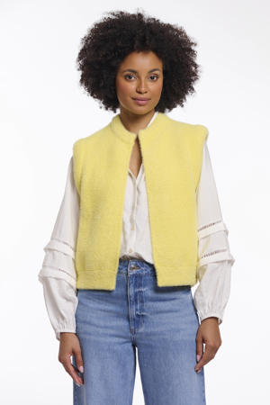 gilet geel