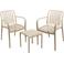 Pro Garden bistroset 3 delig