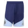 adidas Performance Senior Ajax Amsterdam voetbalshort Training