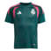 adidas Performance junior real madrid voetbalshirt - donkergroen/roze