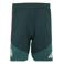 adidas Performance Senior Real Madrid voetbalshort Training