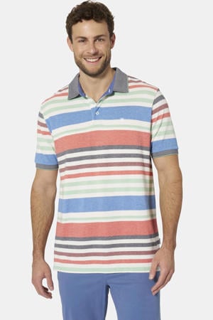 regular fit gestreepte polo Plus Size - meerkleurig