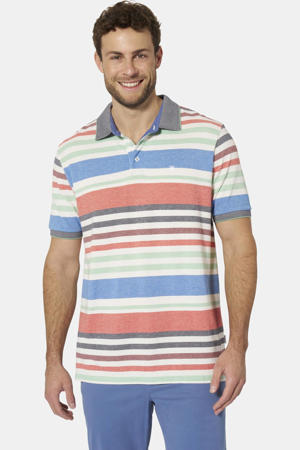regular fit gestreepte polo Plus Size - meerkleurig