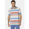 Babista regular fit gestreepte polo Plus Size - meerkleurig