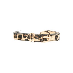 riem IACONNIE met panterprint bruin