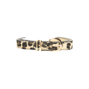 riem IACONNIE met panterprint bruin