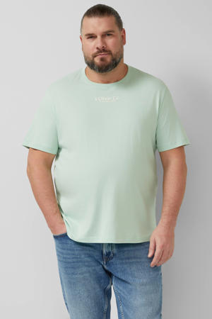 regular T-shirt lichtgroen