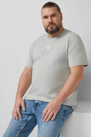 regular T-shirt grijs