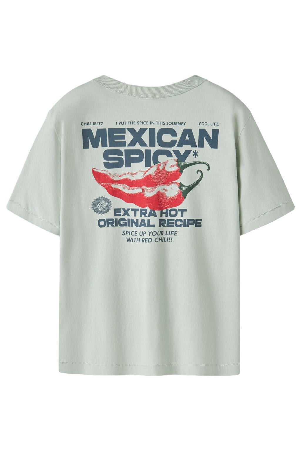 Lichtblauwe jongens NAME IT KIDS T-shirt van katoen met backprint, korte mouwen en ronde hals