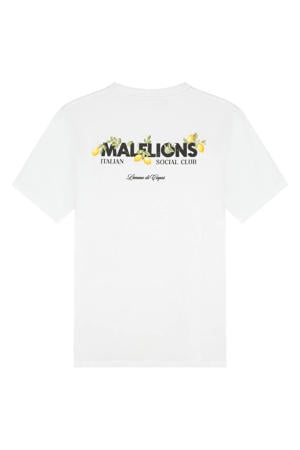 regular T-shirt met backprint wit