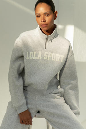 sweater Jayla Half Zip grijs