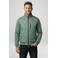 Cars zomerjas groen