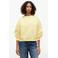 Tommy Hilfiger sweater geel