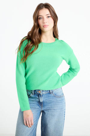 sweater groen gebreid