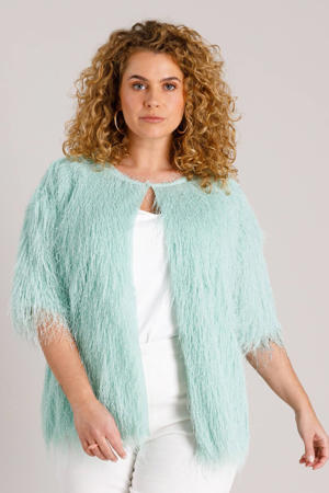 gebreid vest mintgroen