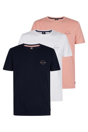 regular T-shirt multi - (set van 3)