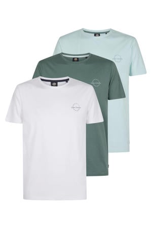 regular T-shirt multi - (set van 3)