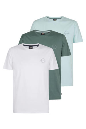 regular T-shirt multi - (set van 3)
