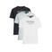 Petrol Industries regular T-shirt multi - (set van 3)