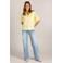 Ivy Beau blouse geel broderie