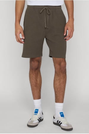 regular casual short bruin