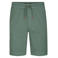 Petrol Industries regular chino short groen