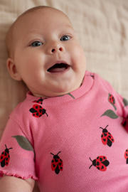 thumbnail: Feetje shortama Lily Ladybug roze/rood
