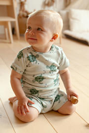 thumbnail: Feetje shortama Timmy Turtle mintgroen