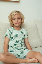 thumbnail: Feetje shortama Timmy Turtle mintgroen
