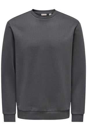 sweater grijs