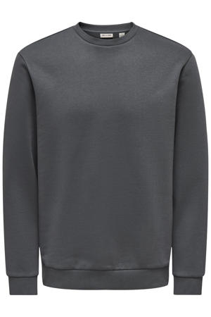 sweater grijs
