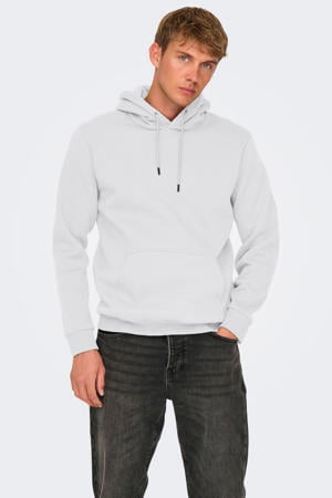 hoodie lichtgrijs