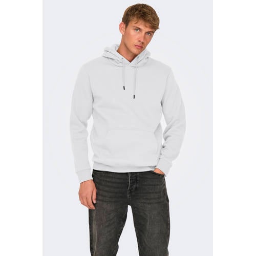 ONLY & SONS hoodie lichtgrijs afbeelding
