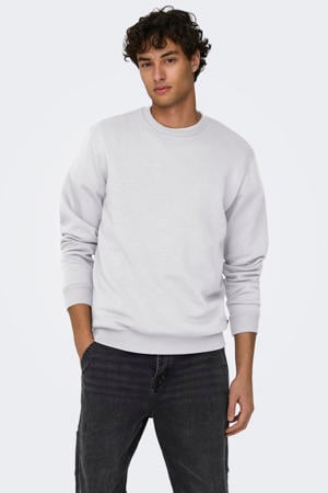sweater lichtgrijs