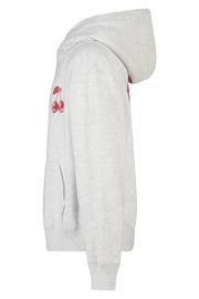 thumbnail: America Today hoodie met backprint lichtgrijs