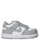 Nike Dunk Low sneakers wit/grijs