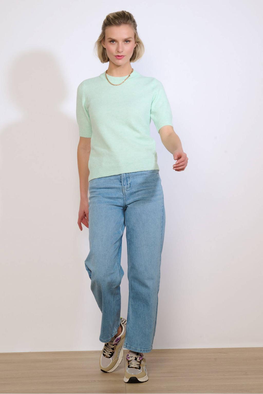 Mintgroene dames LOLALIZA top fijn gebreid van polyester met effen, korte mouwen en ronde hals