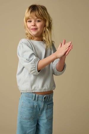 gestreepte blousetop lichtblauw