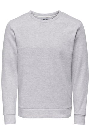 sweater grijs